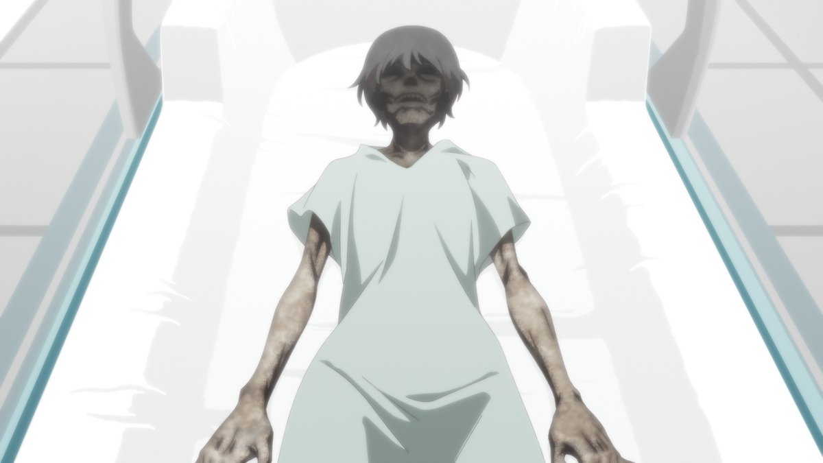 MONOGATARI> Series OFF & MONSTER Season Official Website